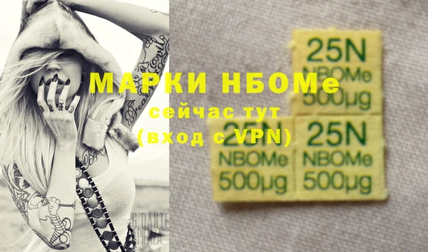шишки Белоозёрский